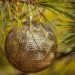 Why Artificial Christmas Trees Make the Holidays Special